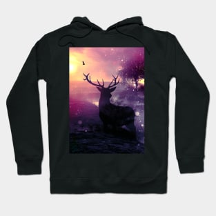 Morning Mist Hoodie